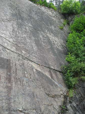 steilstehende Tonschiefer